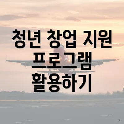 청년 창업 지원 프로그램 활용하기