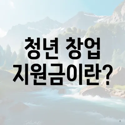청년 창업 지원금이란?