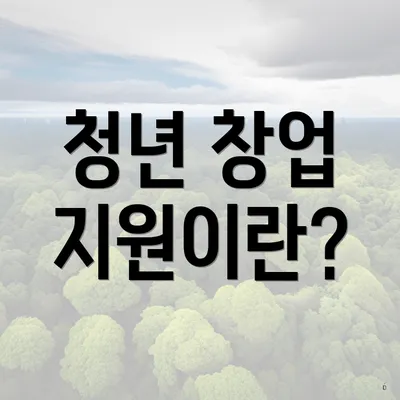 청년 창업 지원이란?