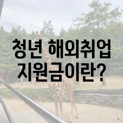 청년 해외취업 지원금이란?