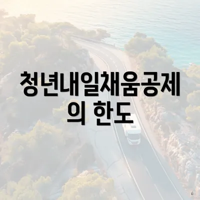 청년내일채움공제의 한도
