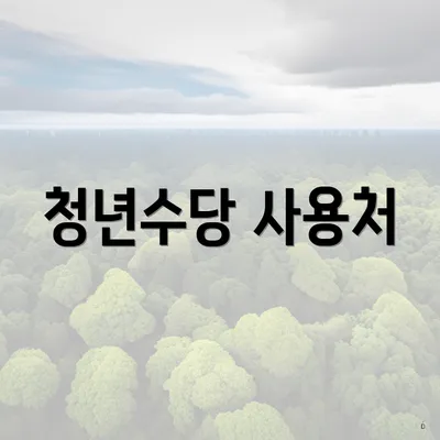 청년수당 사용처