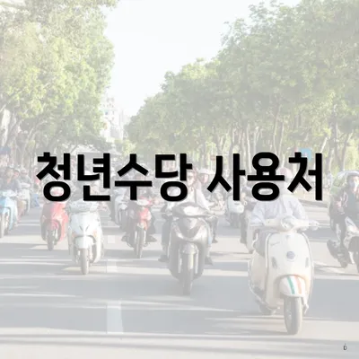 청년수당 사용처