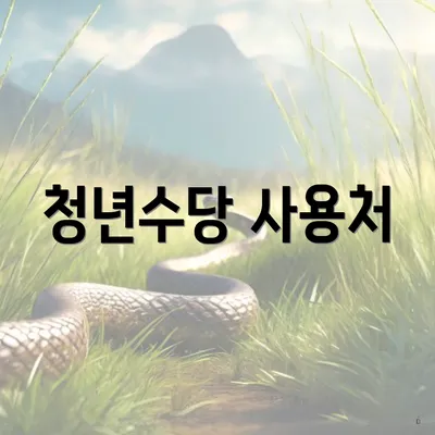 청년수당 사용처