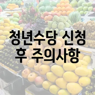 청년수당 신청 후 주의사항