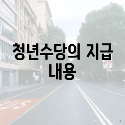 청년수당의 지급 내용
