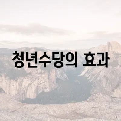 청년수당의 효과