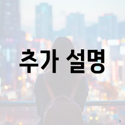 추가 설명