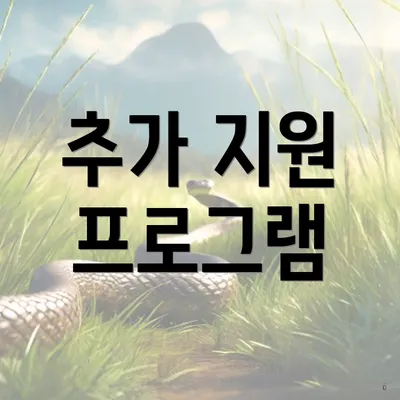 추가 지원 프로그램