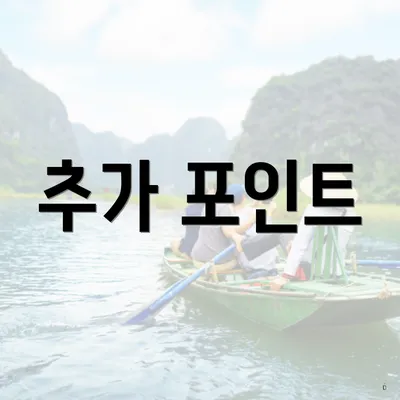 추가 포인트