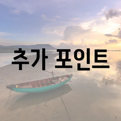 추가 포인트