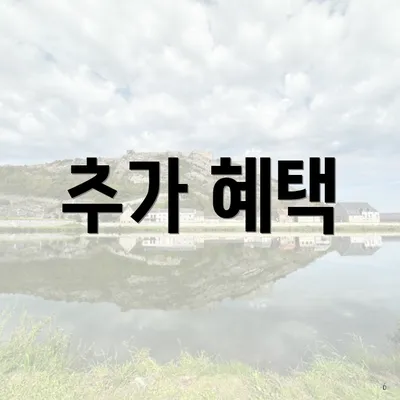 추가 혜택