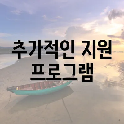 추가적인 지원 프로그램