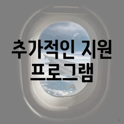 추가적인 지원 프로그램