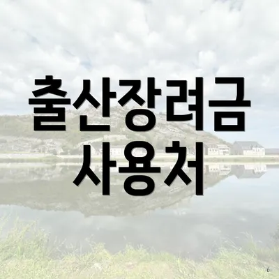 출산장려금 사용처