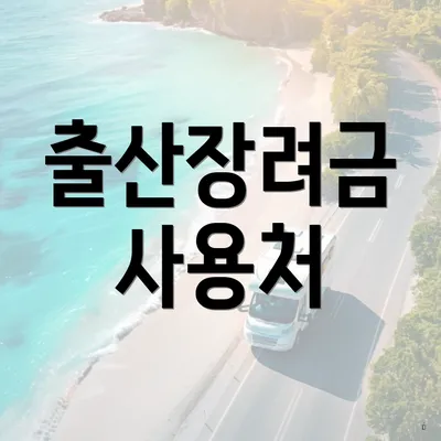 출산장려금 사용처