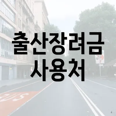 출산장려금 사용처