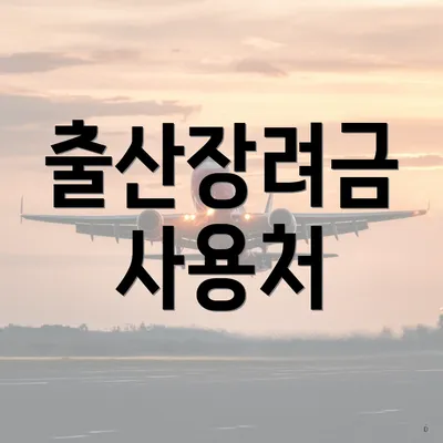 출산장려금 사용처