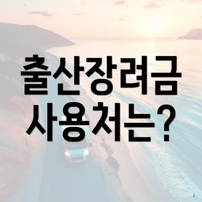 출산장려금 사용처는?