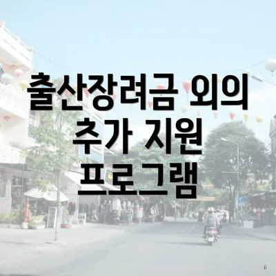 출산장려금 외의 추가 지원 프로그램