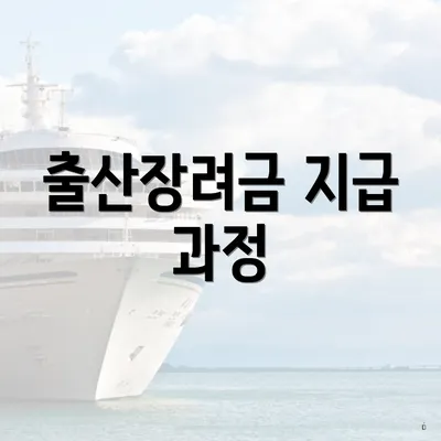 출산장려금 지급 과정
