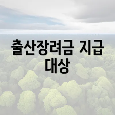 출산장려금 지급 대상