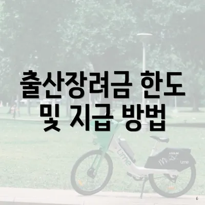 출산장려금 한도 및 지급 방법
