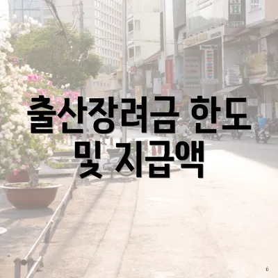 출산장려금 한도 및 지급액