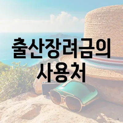 출산장려금의 사용처