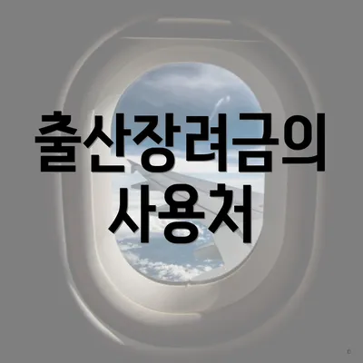 출산장려금의 사용처