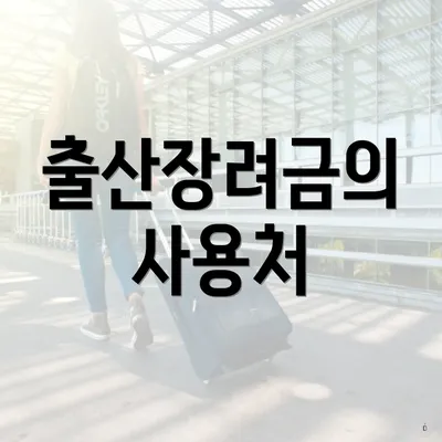 출산장려금의 사용처