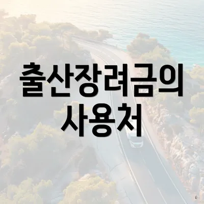 출산장려금의 사용처