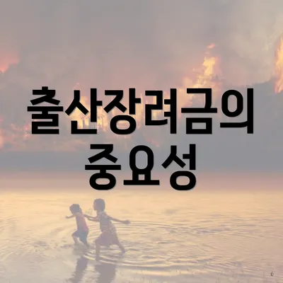 출산장려금의 중요성