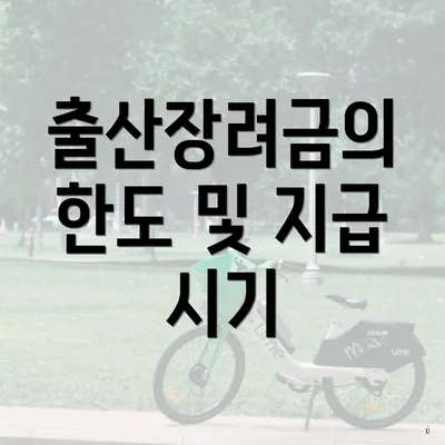 출산장려금의 한도 및 지급 시기