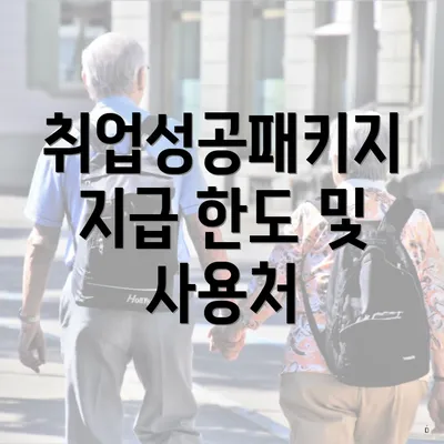 취업성공패키지 지급 한도 및 사용처