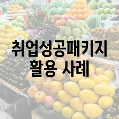 취업성공패키지 활용 사례