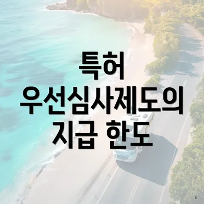 특허 우선심사제도의 지급 한도