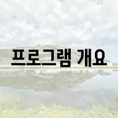 프로그램 개요