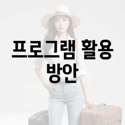 프로그램 활용 방안