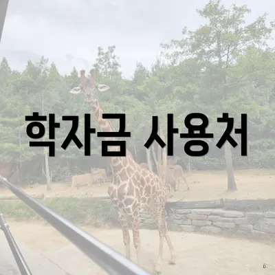 학자금 사용처