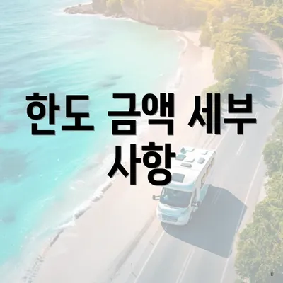한도 금액 세부 사항