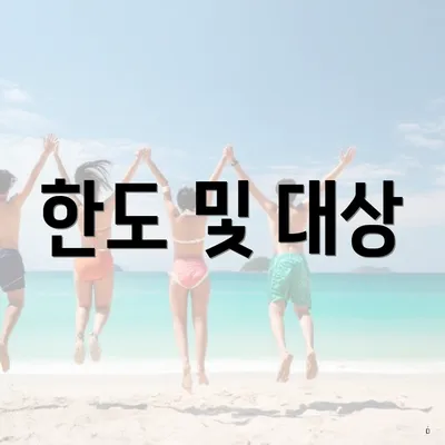 한도 및 대상