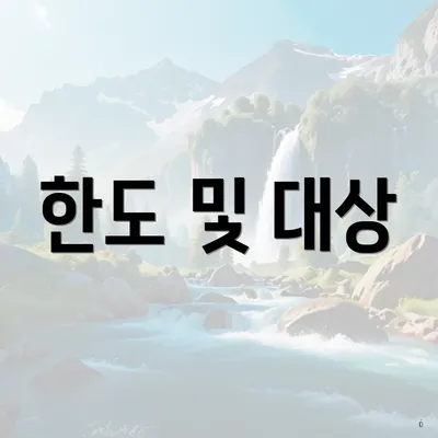 한도 및 대상