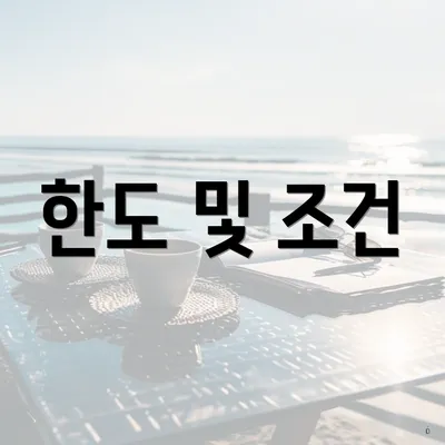 한도 및 조건