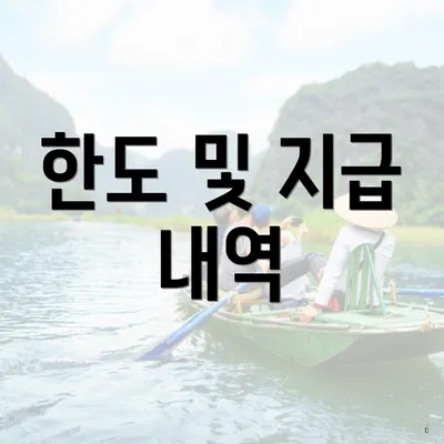 한도 및 지급 내역