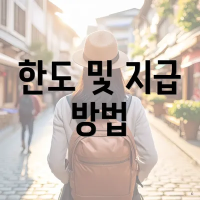 한도 및 지급 방법