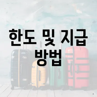 한도 및 지급 방법