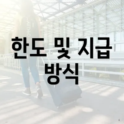 한도 및 지급 방식