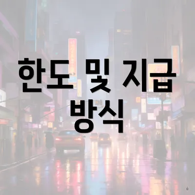 한도 및 지급 방식