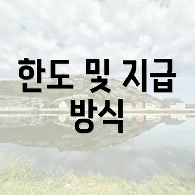 한도 및 지급 방식